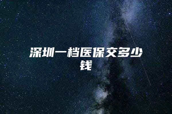 深圳一档医保交多少钱