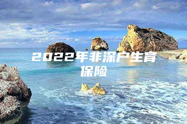 2022年非深户生育保险