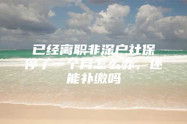 已经离职非深户社保停了一个月怎么办，还能补缴吗