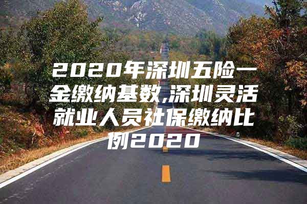 2020年深圳五险一金缴纳基数,深圳灵活就业人员社保缴纳比例2020