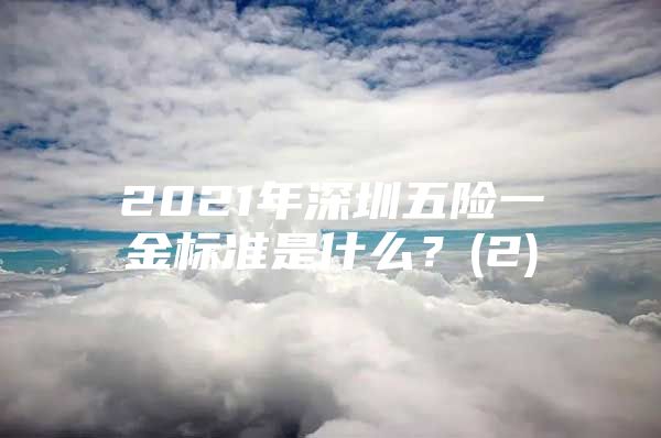 2021年深圳五险一金标准是什么？(2)