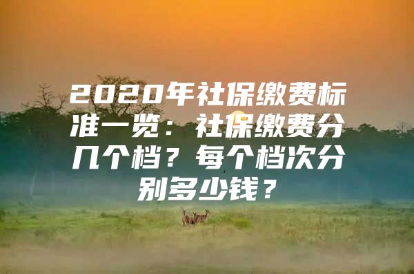 2020年社保缴费标准一览：社保缴费分几个档？每个档次分别多少钱？